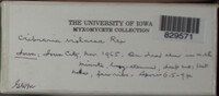 Image Associated With the Occurence